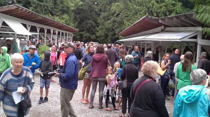 Summer market in Powell River
